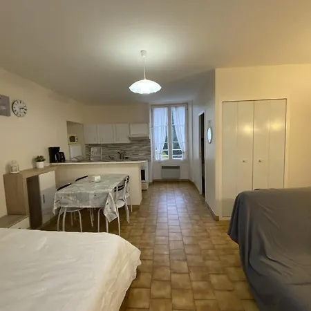 Studio Lumineux Centre-ville Avec Wi-fi Et Lave-linge - Fr-1-541-145