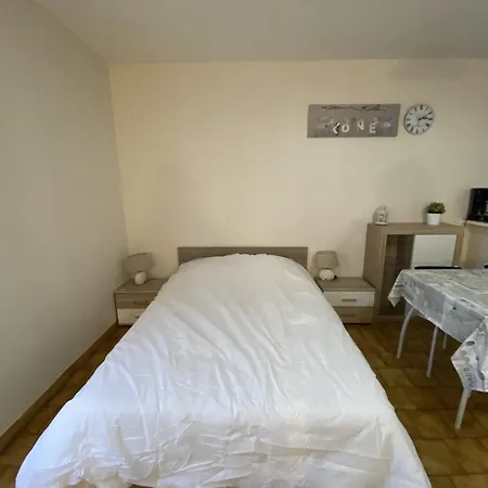 Studio Lumineux Centre-ville Avec Wi-fi Et Lave-linge - Fr-1-541-145