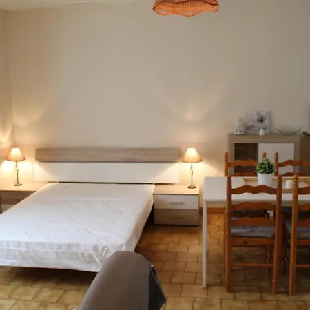 Studio Lumineux Centre-ville Avec Wi-fi Et Lave-linge - Fr-1-541-145 La Roche-Posay